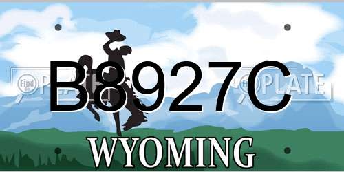 B8927C Wyoming License Plate