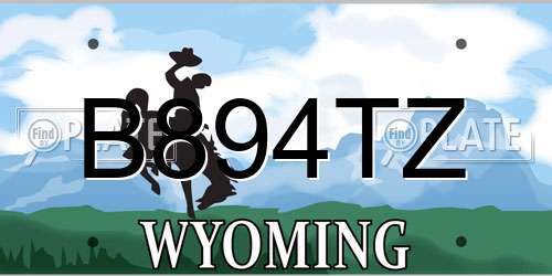 B894TZ Wyoming License Plate