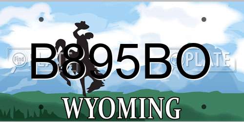 B895BO Wyoming License Plate