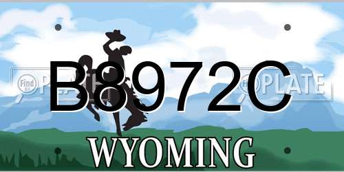 B8972C Wyoming License Plate
