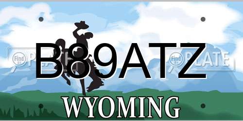 B89ATZ Wyoming License Plate