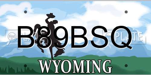 B89BSQ Wyoming License Plate