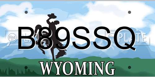 B89SSQ Wyoming License Plate