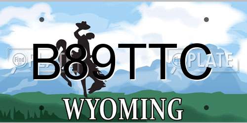 B89TTC Wyoming License Plate