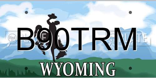 B90TRM Wyoming License Plate