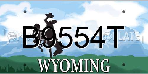 B9554T Wyoming License Plate