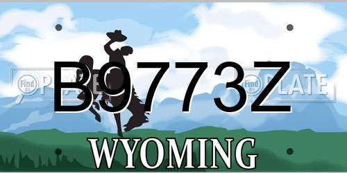 B9773Z Wyoming License Plate