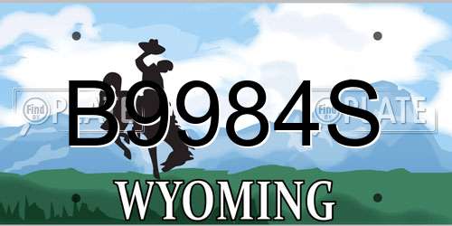 B9984S Wyoming License Plate