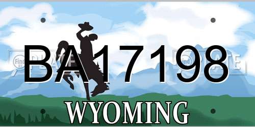 BA17198 Wyoming License Plate