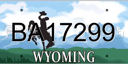 BA17299 Wyoming License Plate