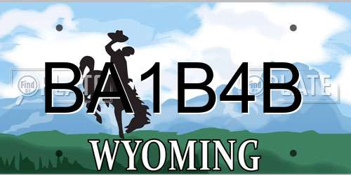 BA1B4B Wyoming License Plate
