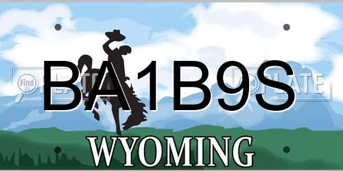 BA1B9S Wyoming License Plate