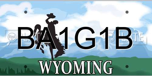 BA1G1B Wyoming License Plate