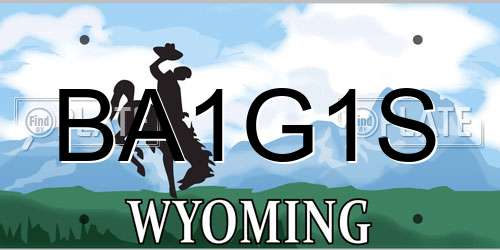 BA1G1S Wyoming License Plate