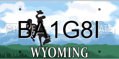 BA1G8I Wyoming License Plate