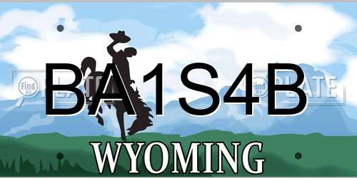 BA1S4B Wyoming License Plate