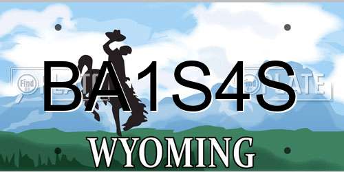 BA1S4S Wyoming License Plate