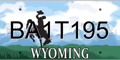 BA1T195 Wyoming License Plate