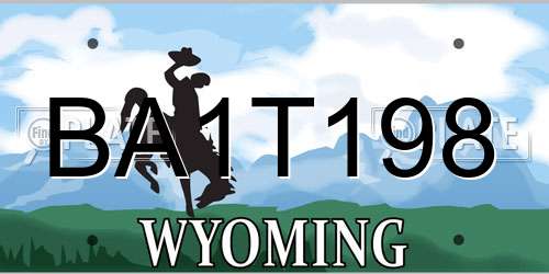 BA1T198 Wyoming License Plate