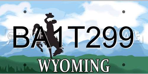 BA1T299 Wyoming License Plate