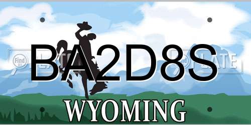 BA2D8S Wyoming License Plate