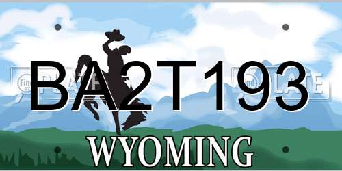 BA2T193 Wyoming License Plate