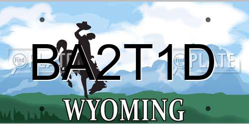 BA2T1D Wyoming License Plate