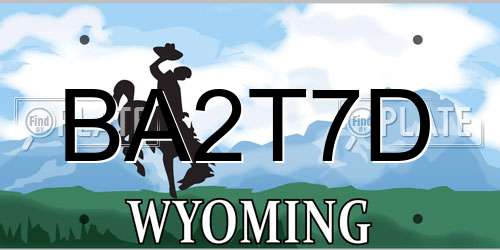 BA2T7D Wyoming License Plate