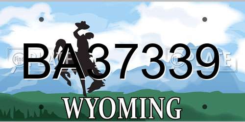 BA37339 Wyoming License Plate
