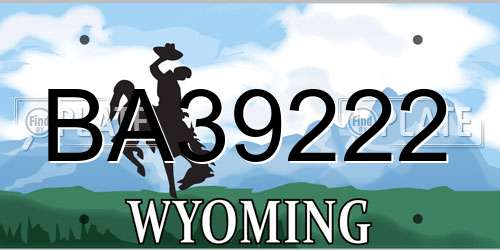 BA39222 Wyoming License Plate