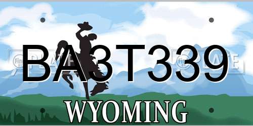 BA3T339 Wyoming License Plate