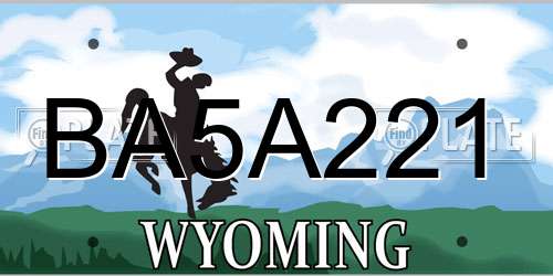 BA5A221 Wyoming License Plate