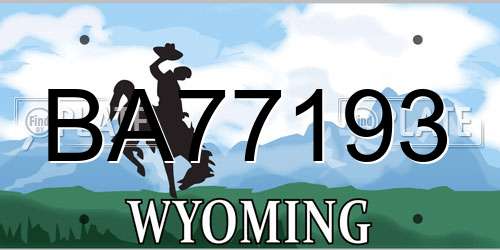 BA77193 Wyoming License Plate