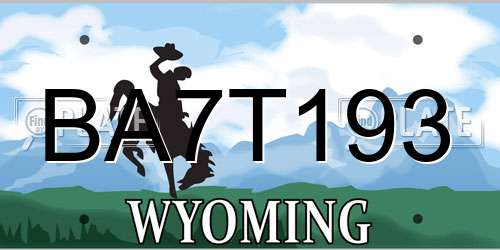 BA7T193 Wyoming License Plate