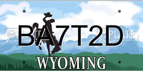 BA7T2D Wyoming License Plate