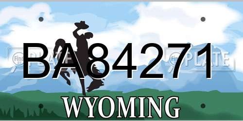 BA84271 Wyoming License Plate