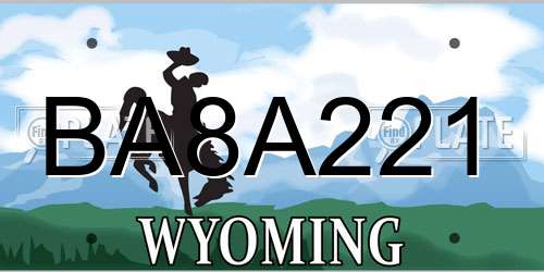 BA8A221 Wyoming License Plate