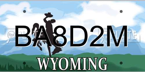 BA8D2M Wyoming License Plate