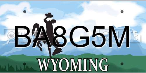BA8G5M Wyoming License Plate