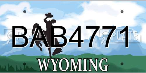 BAB4771 Wyoming License Plate