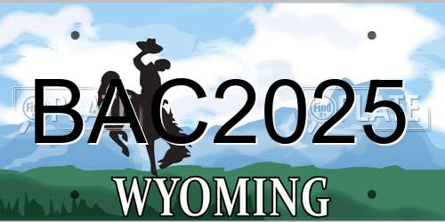 BAC2025 Wyoming License Plate