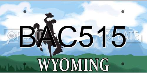 BAC515 Wyoming License Plate