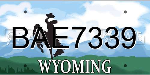 BAE7339 Wyoming License Plate