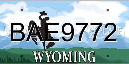 BAE9772 Wyoming License Plate