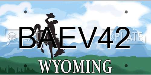 BAEV42 Wyoming License Plate