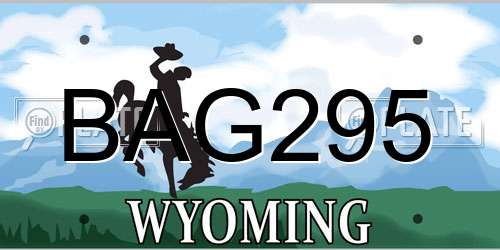 BAG295 Wyoming License Plate