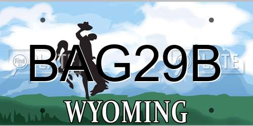 BAG29B Wyoming License Plate