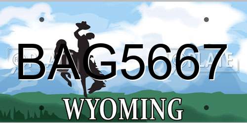 BAG5667 Wyoming License Plate