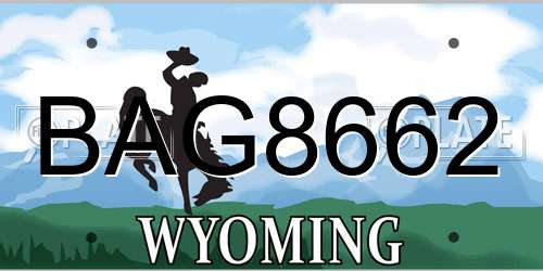 BAG8662 Wyoming License Plate