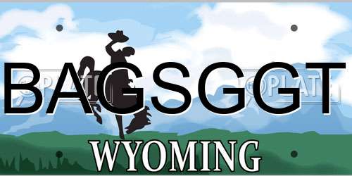BAGSGGT Wyoming License Plate